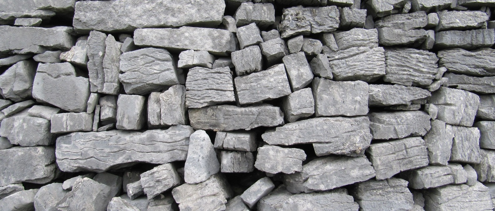 Galway Mike Scott and view 2 04140crop