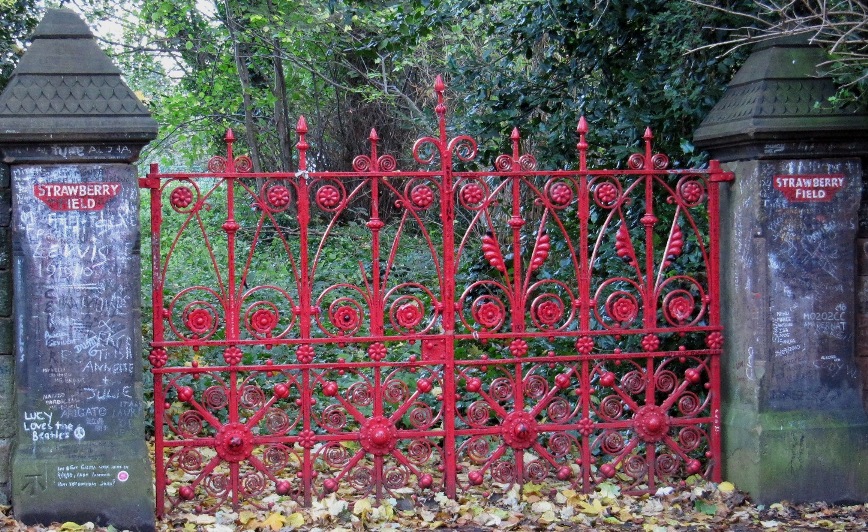 strawberry-field-web60